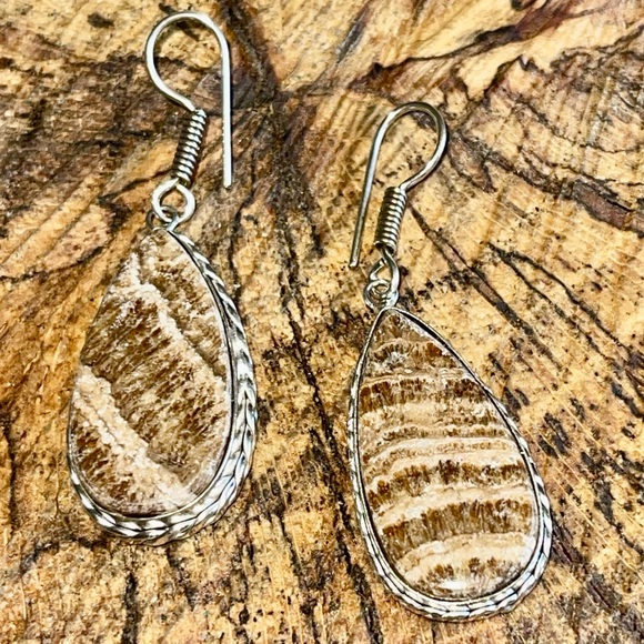 Teardrop Shape Aragonite Earrings 2” - Picture 4 of 10